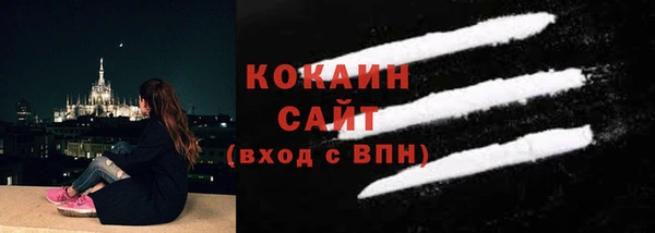 винт Богданович